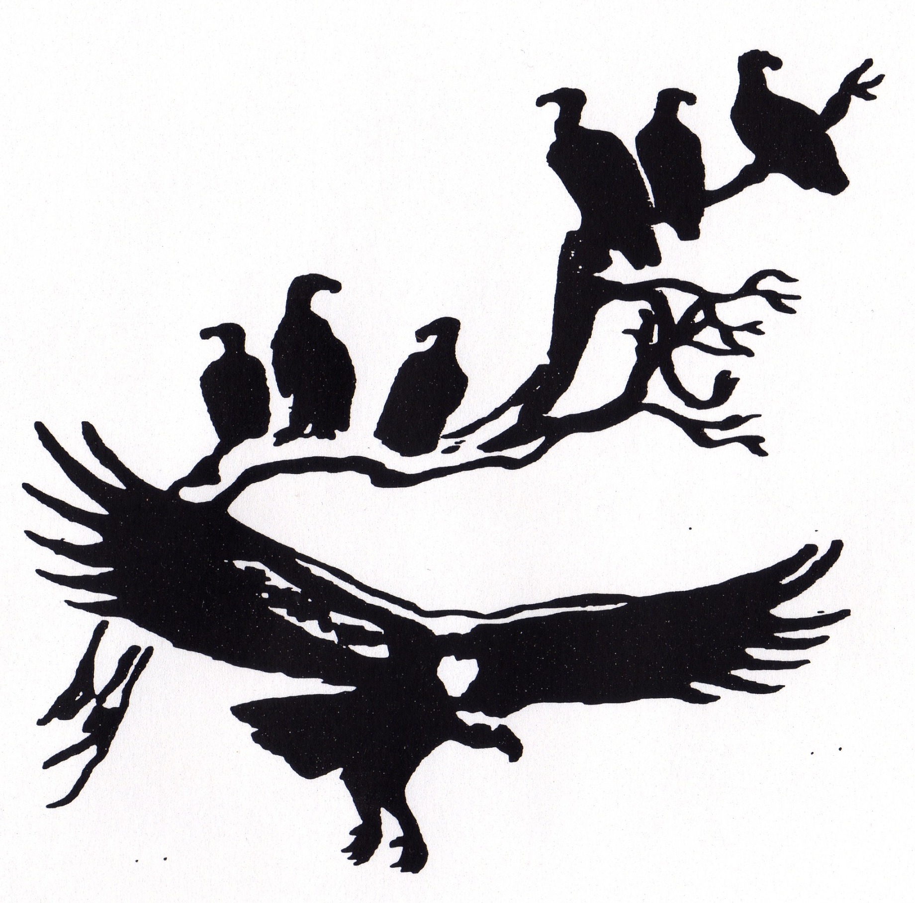 A pen drawing of crows sitting on a banch with one crow flying away with something it it's beak.