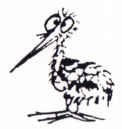 A pen drawing of a bird with a large beak, crossed eyes and a long beak.